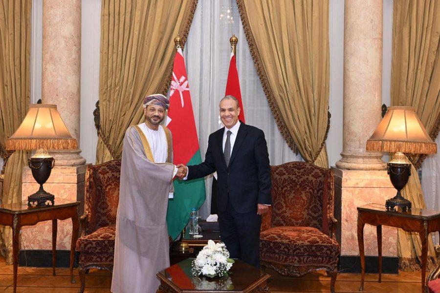 Minister discuss regional developments with Egyptian counterpart